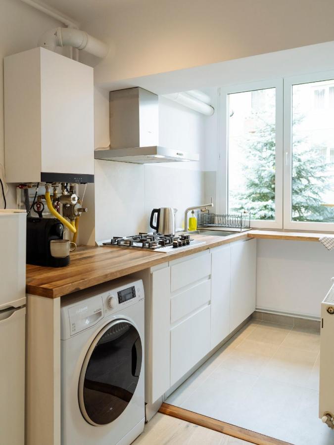 Cozy Central Apartment Near The Forest Брашов Экстерьер фото