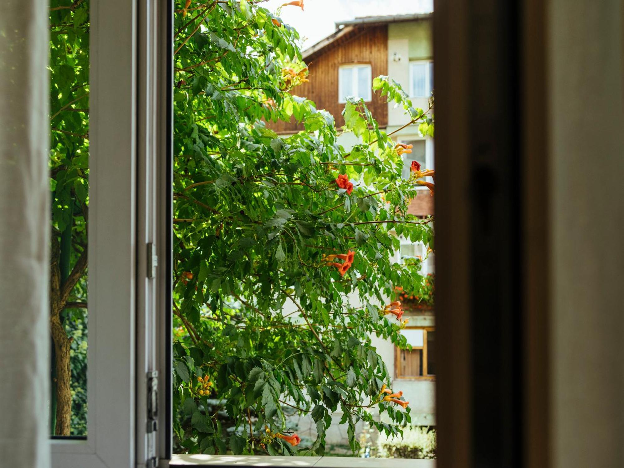 Cozy Central Apartment Near The Forest Брашов Экстерьер фото