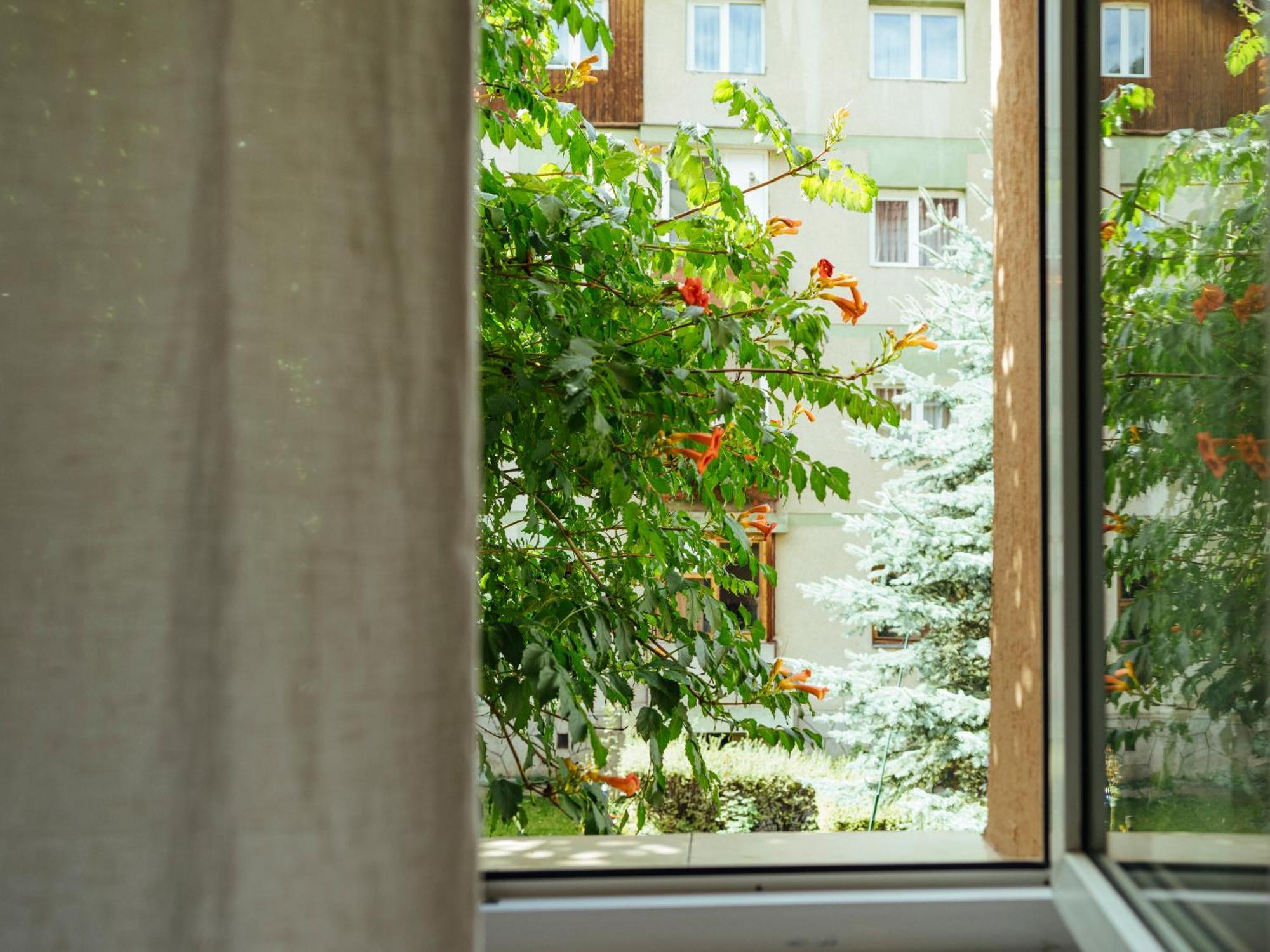 Cozy Central Apartment Near The Forest Брашов Экстерьер фото